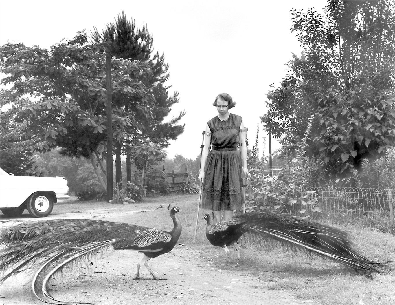 Flannery O’Connor reads A Good Man is Hard to Find