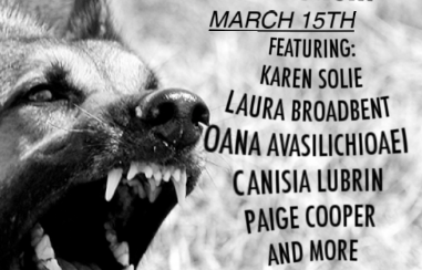 Join us at the Lemonhound 3.0.3 launch March 15th in Montreal!